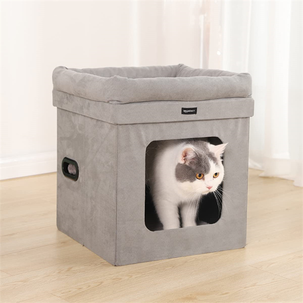 Cube Cat (13)