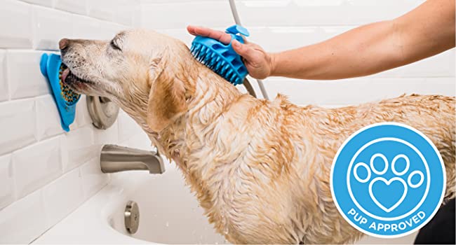 Brosse de bain pour chien (7)