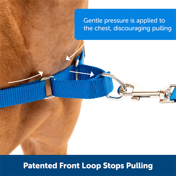 Harness per cani (4)