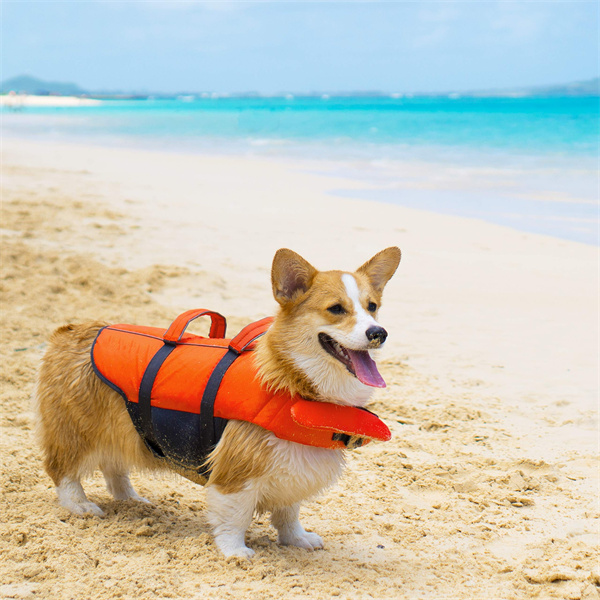 Dog Life Jacket (4)