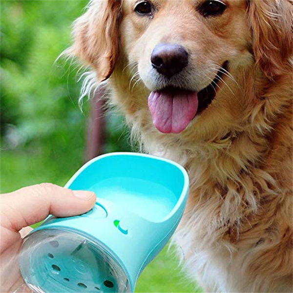 Dog Water Bottle (12)