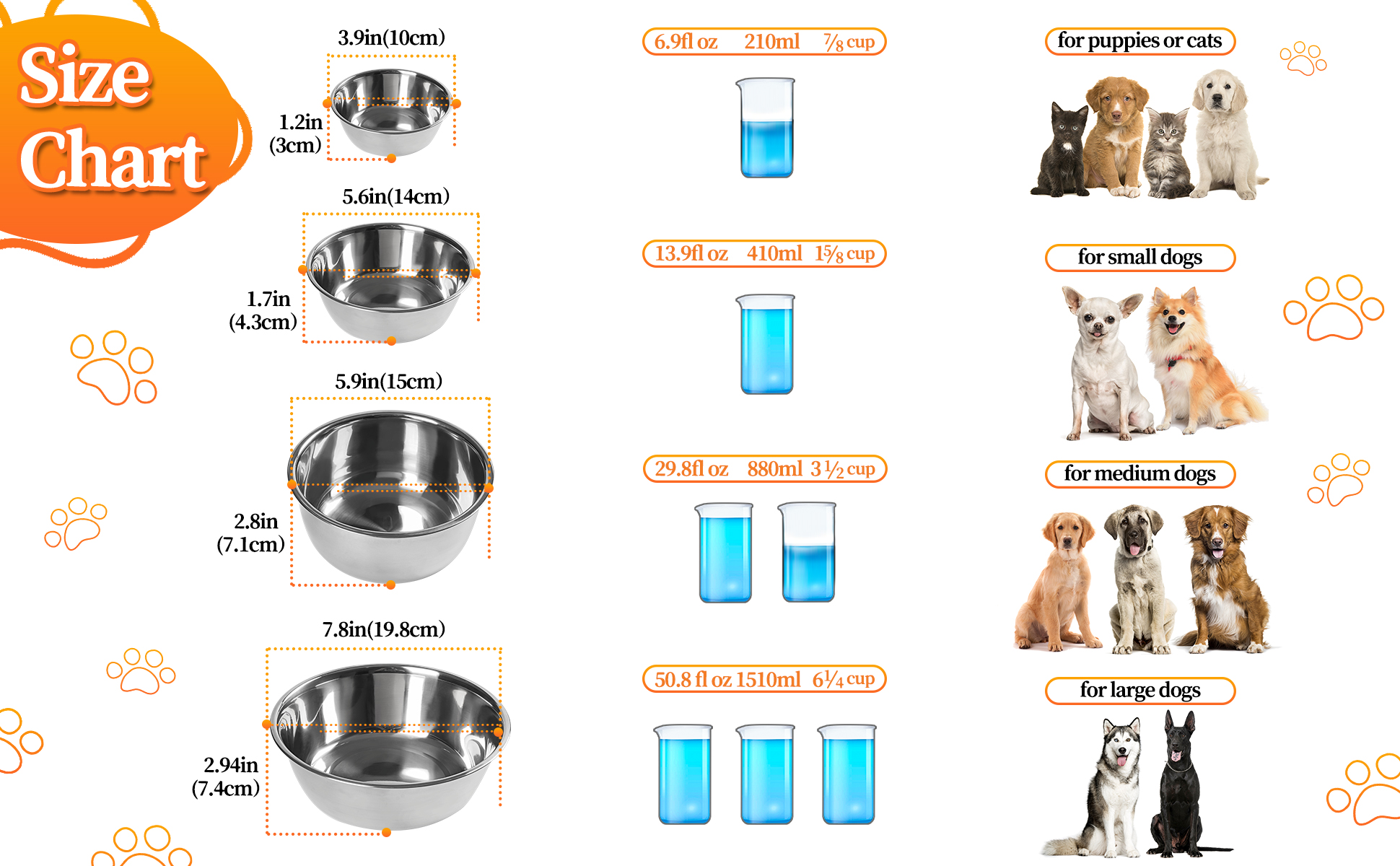 Mangkuk Anjing Piaraan (10)