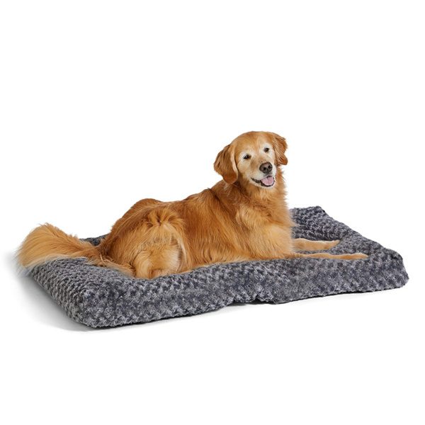 Dog Bed 2