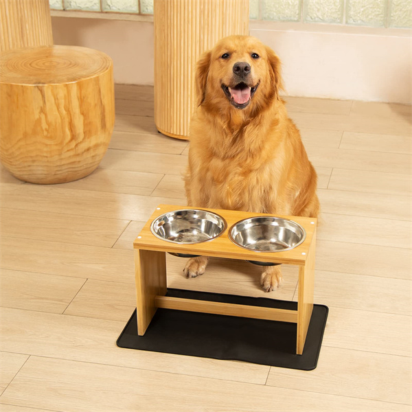 dog stand (7)