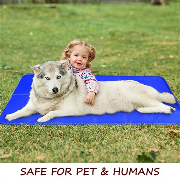 dog cooling mat (8)