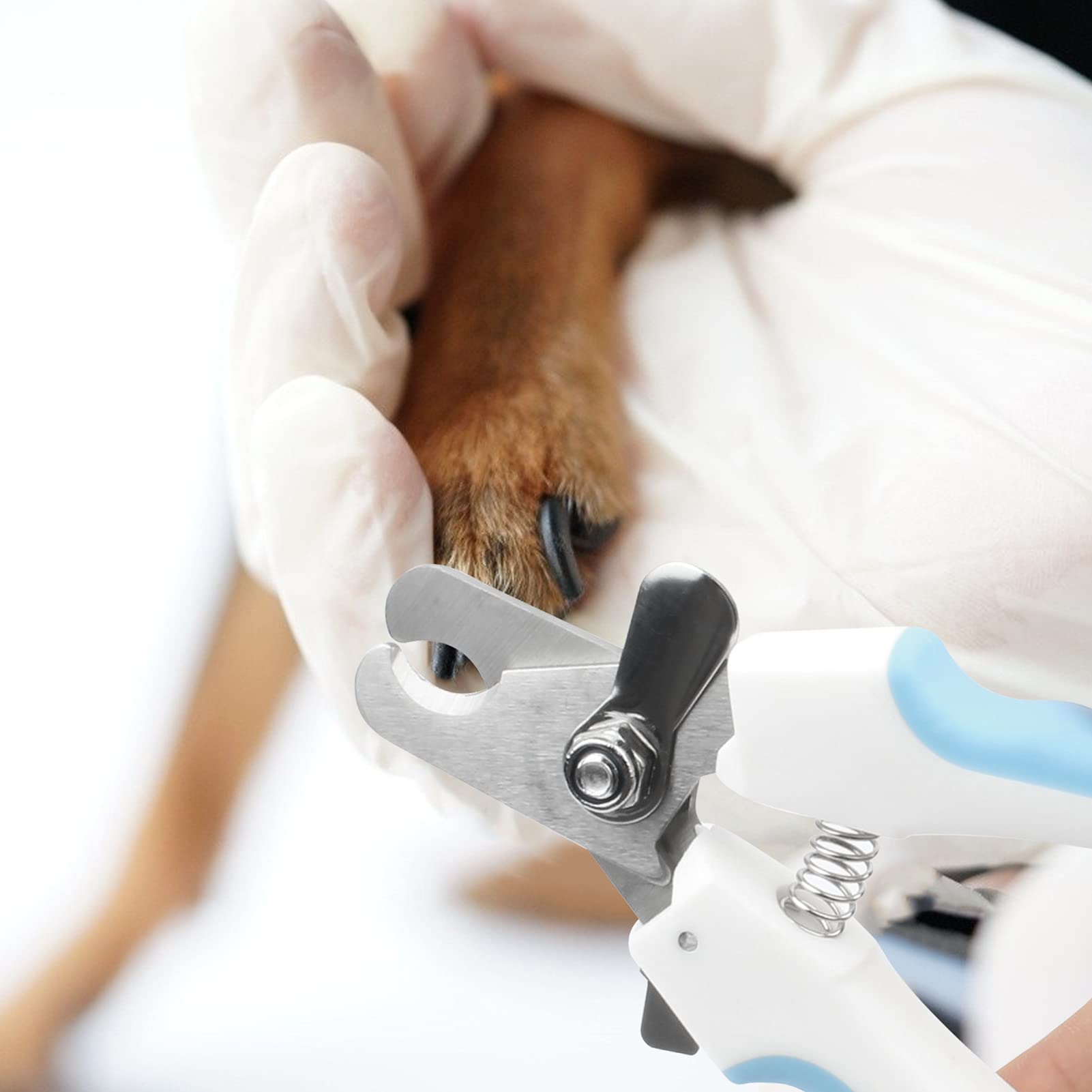 máy cắt móng cho chó (2)