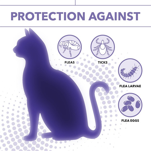 ovratnica proti bolham za mačke (5)